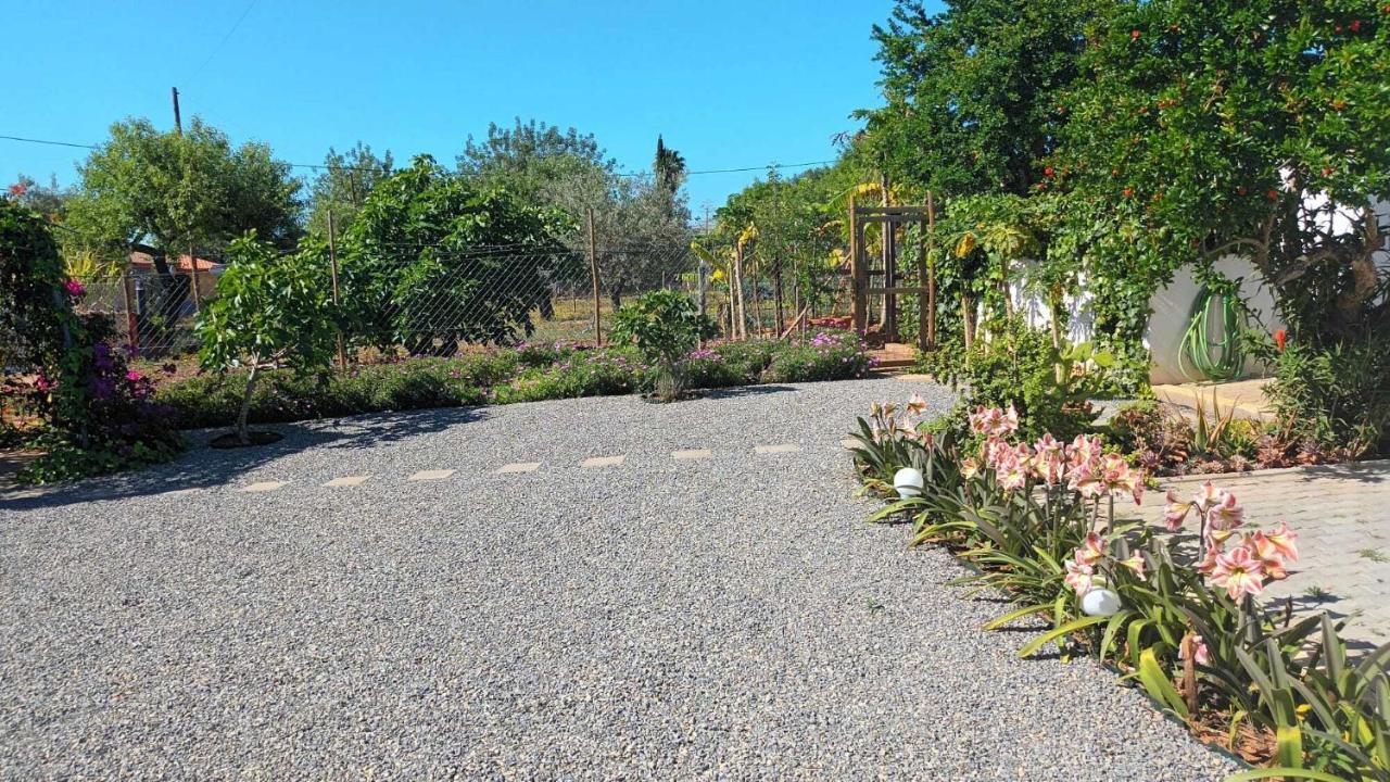 Adelino Guest House 오양 외부 사진