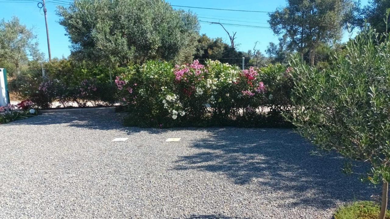Adelino Guest House 오양 외부 사진